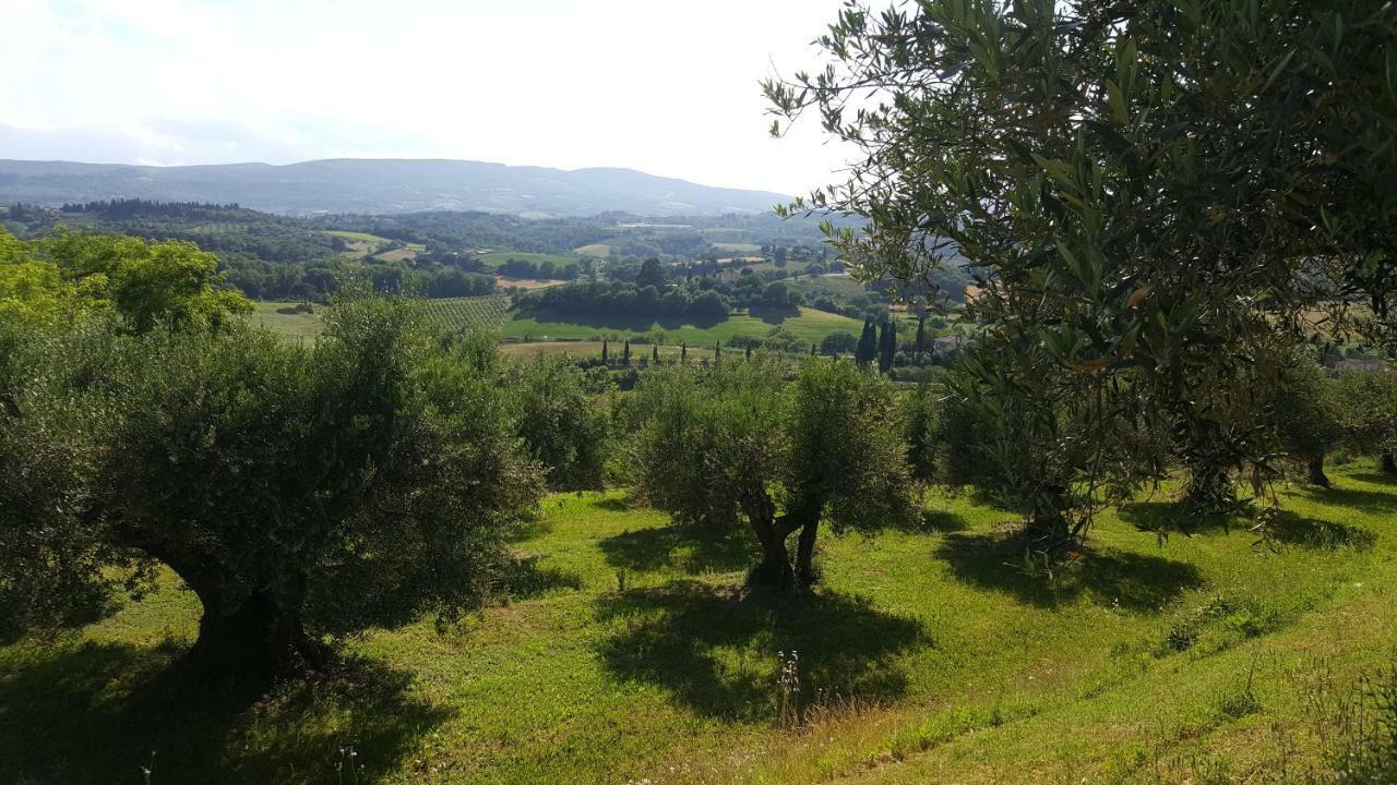 Villa Montevenere 83 Chiusi Esterno foto