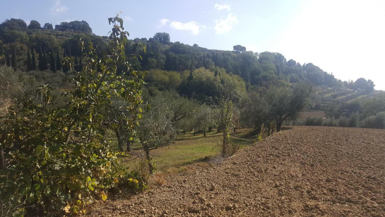 Villa Montevenere 83 Chiusi Esterno foto
